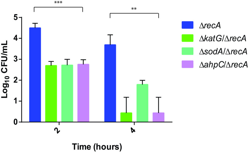 FIG 2