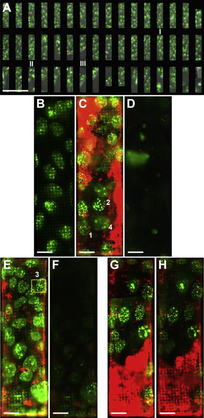 Fig.2