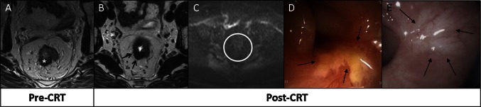 Fig. 4