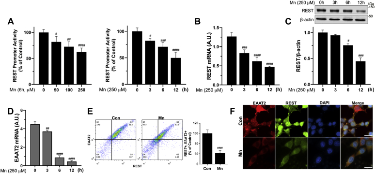 Figure 6