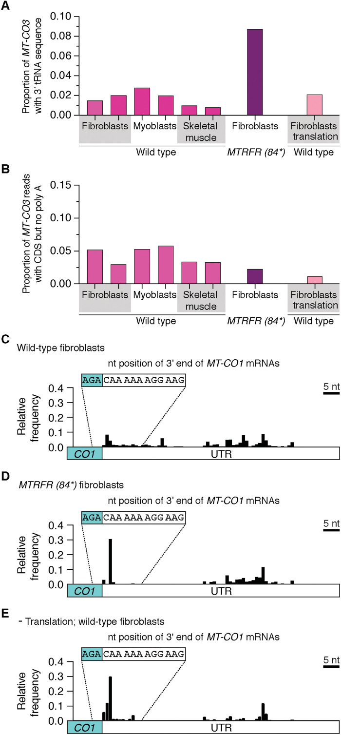 Fig. 9.