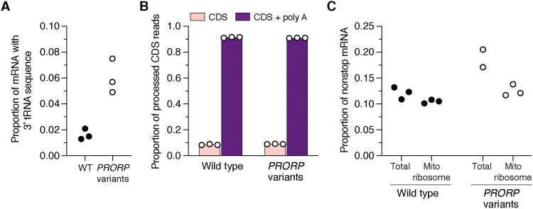 Fig. 2.