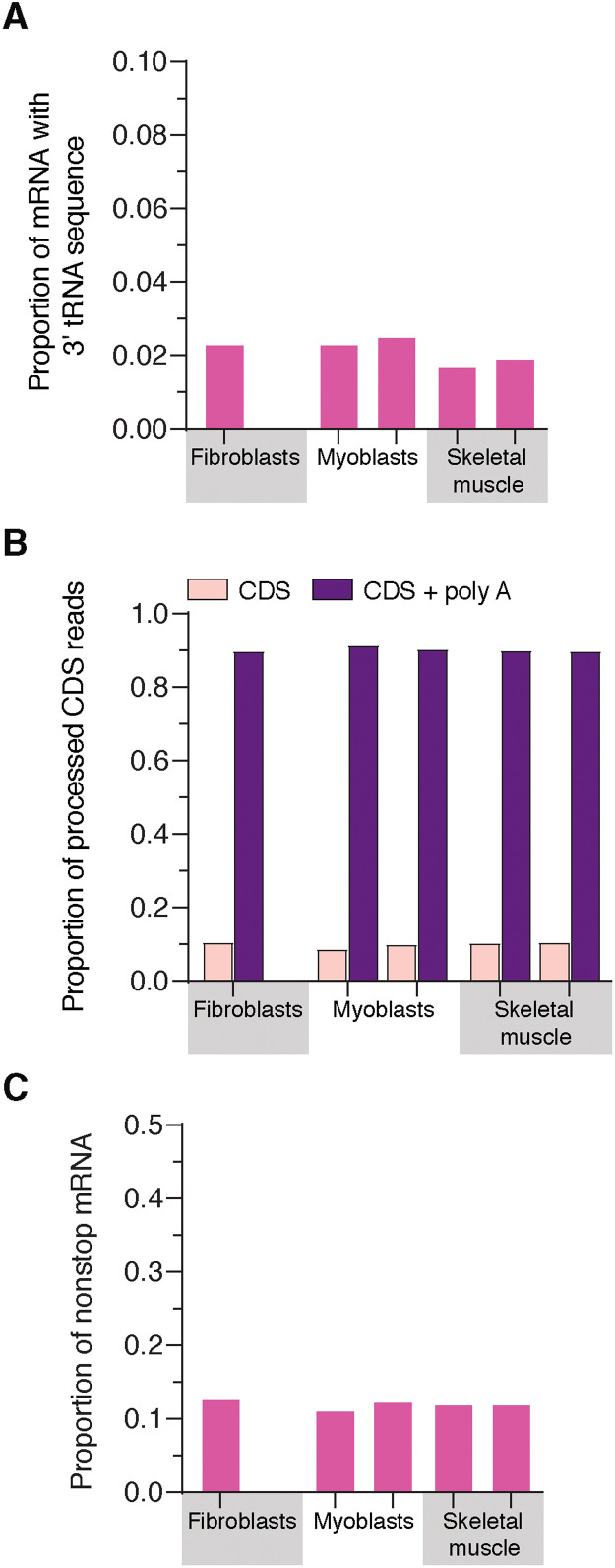 Fig. 3.