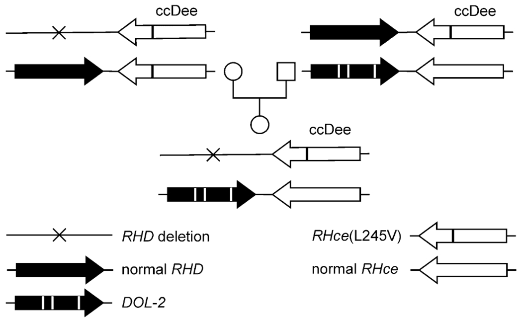 Fig. 1.