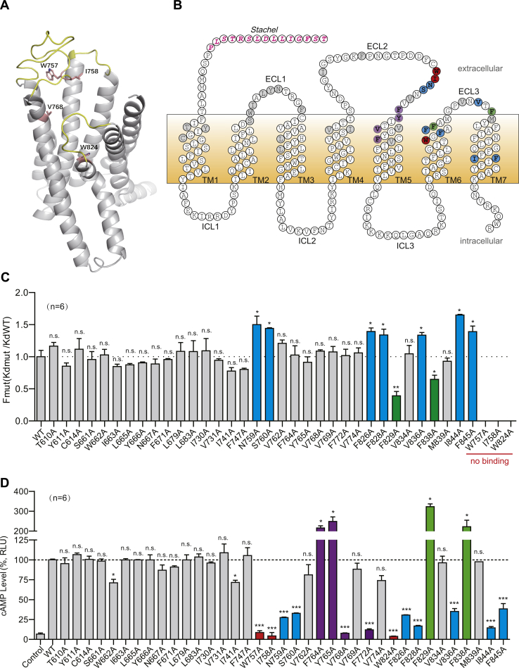 Figure 4