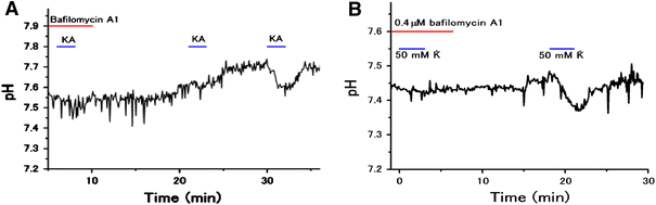 Fig. 9