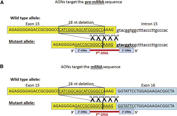 Figure 2