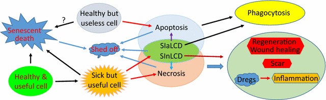 Fig. 4