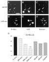 Fig. 4.