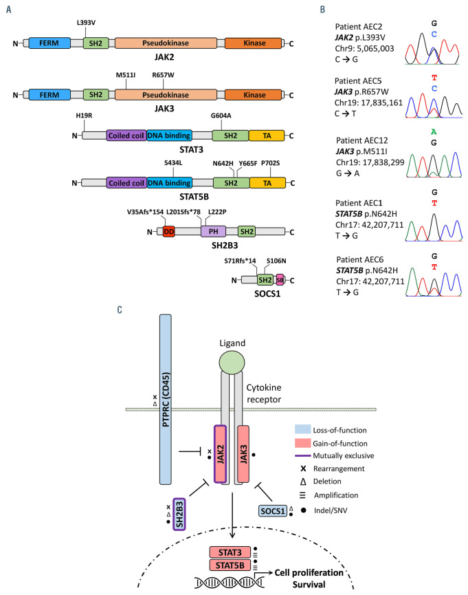 Figure 5.