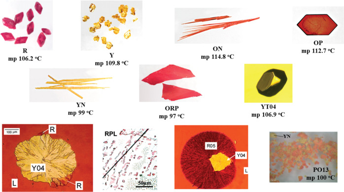 Fig. 3