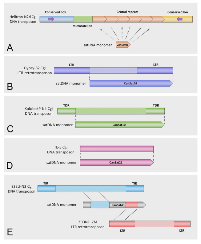 Fig. 2