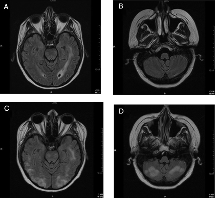 Fig. 1.