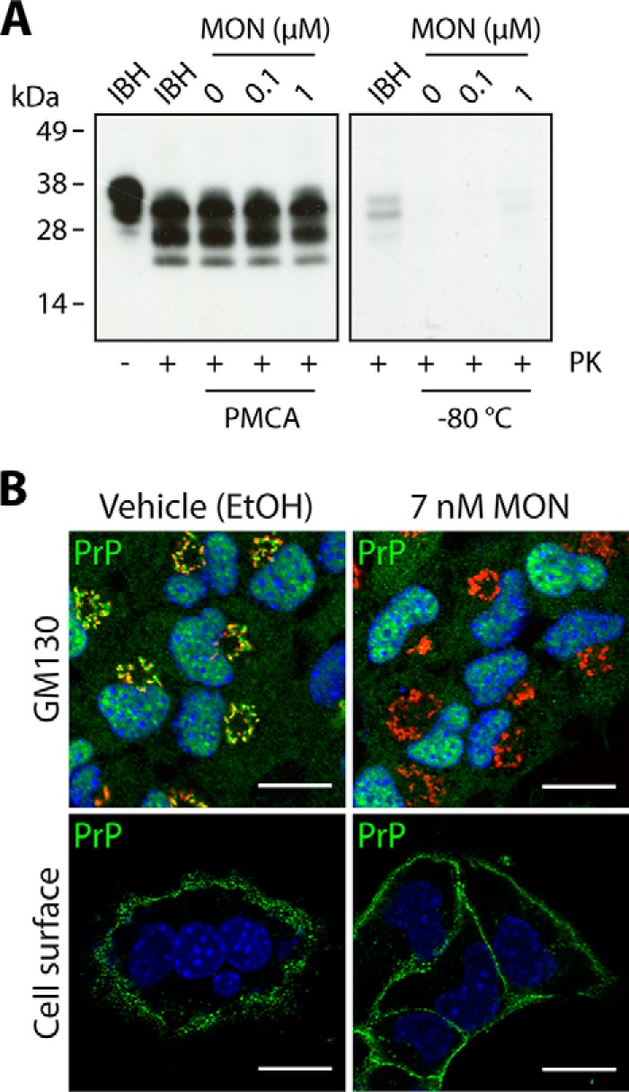 FIGURE 4.