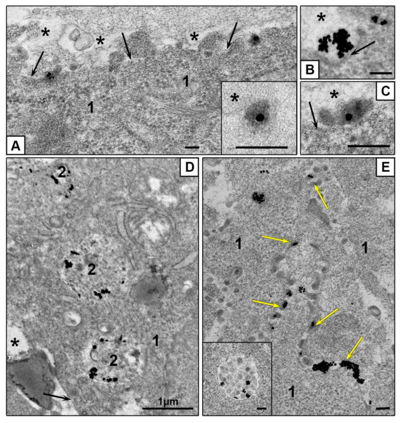 Figure 10