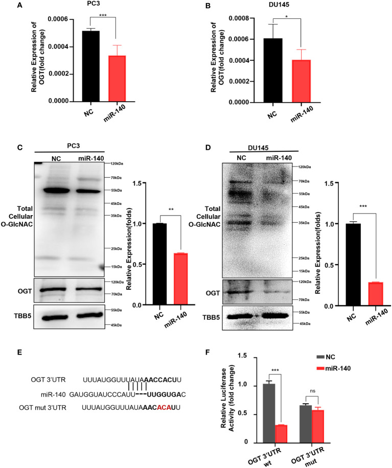 Figure 5