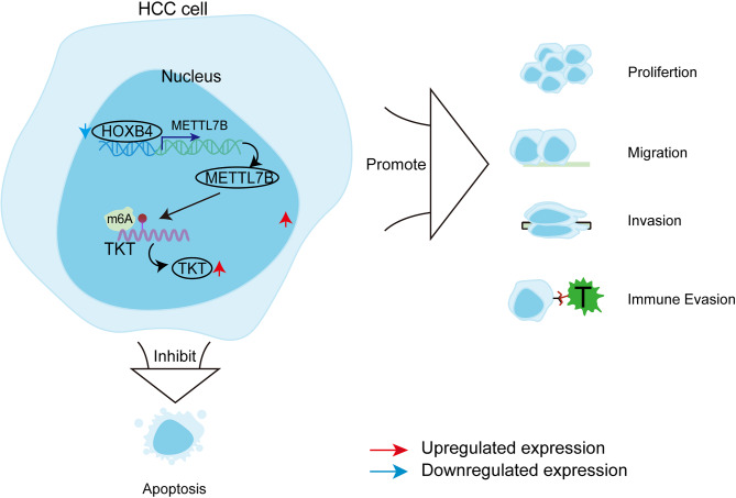 graphic file with name 13062_2025_620_Figa_HTML.jpg