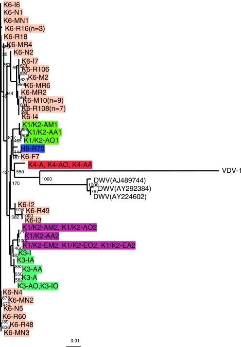 FIG. 6.