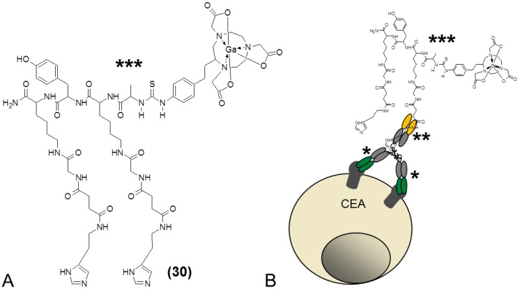 Fig 8