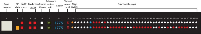 Figure 3