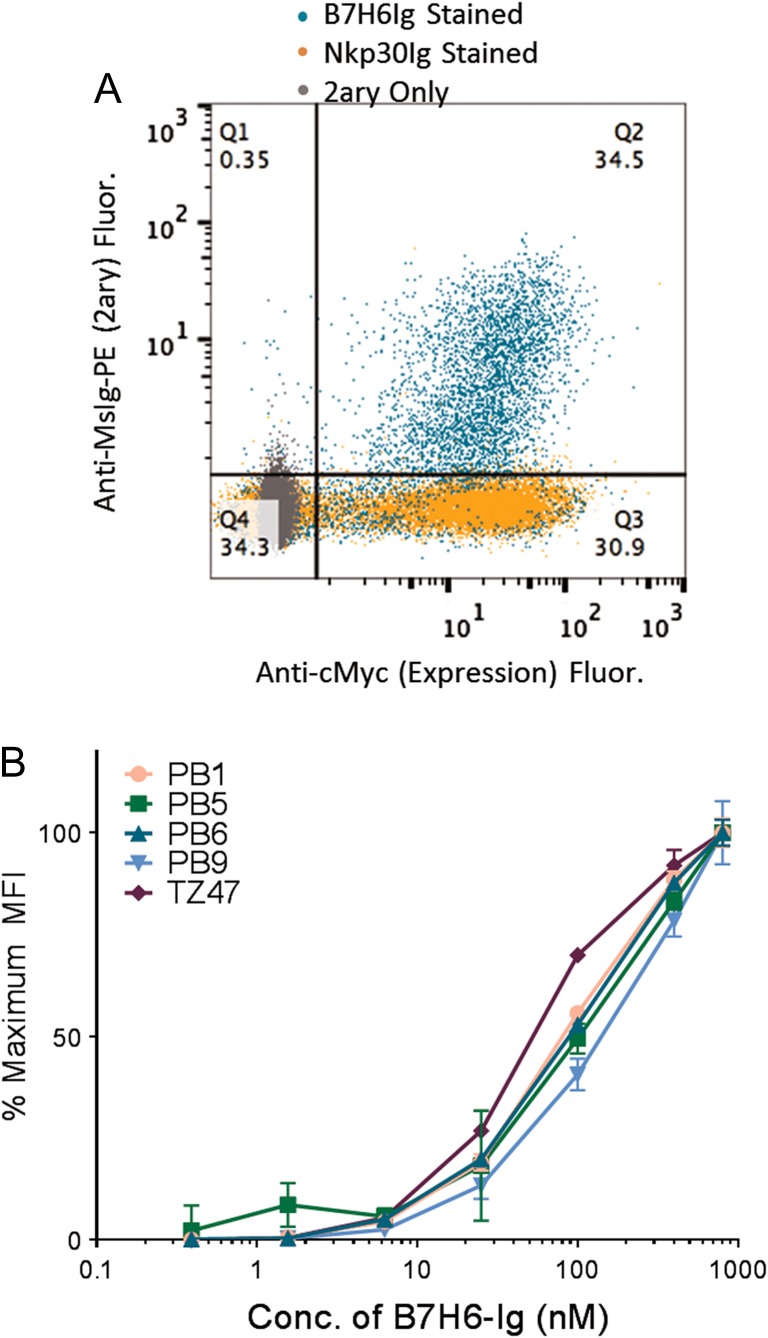 Fig. 2