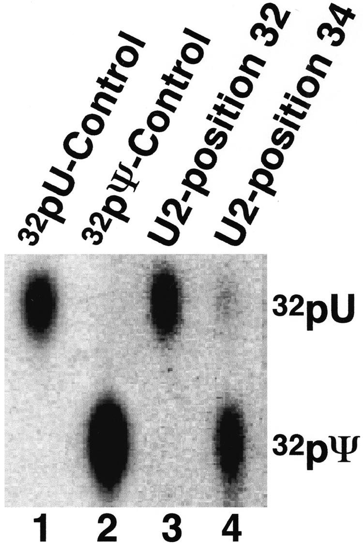 FIGURE 4.