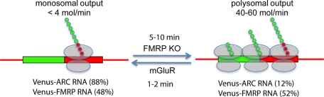 FIGURE 7: