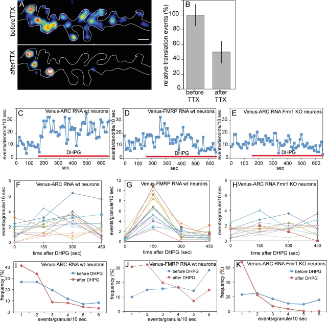 FIGURE 6: