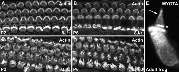 Figure 3.