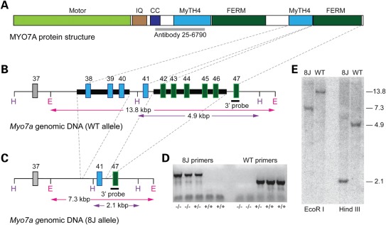 Figure 1.