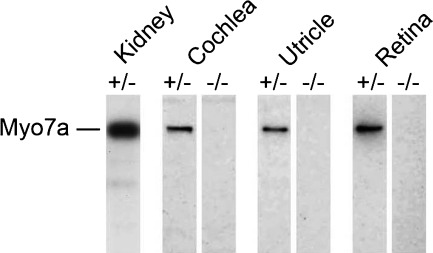 Figure 4.