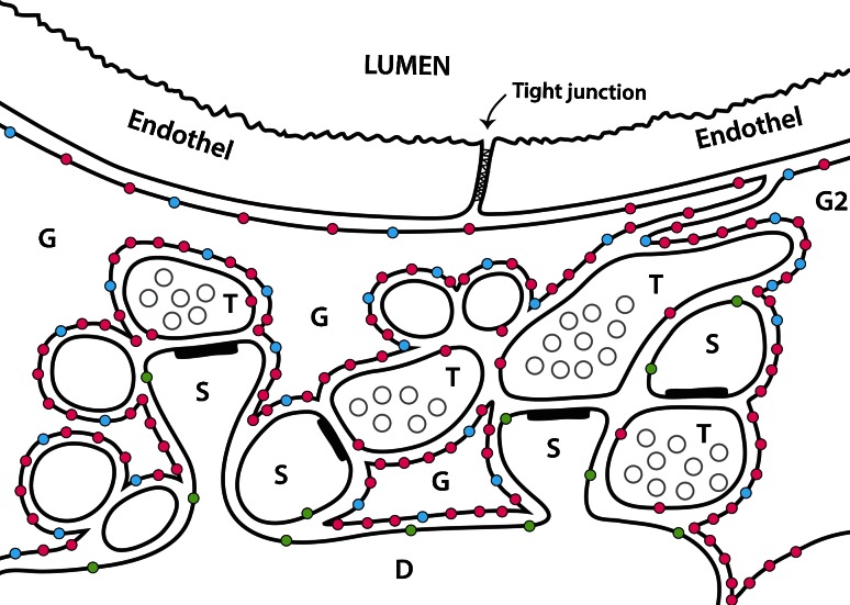 Fig. 1