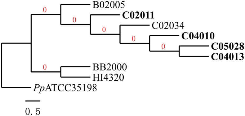 Fig 2