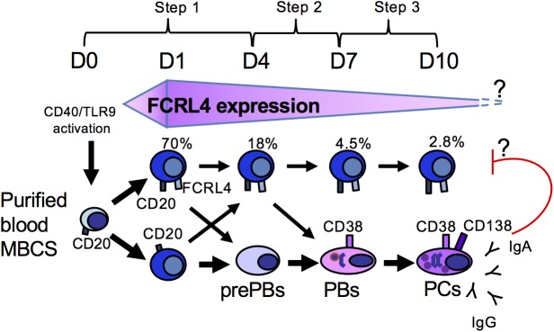 Fig 9