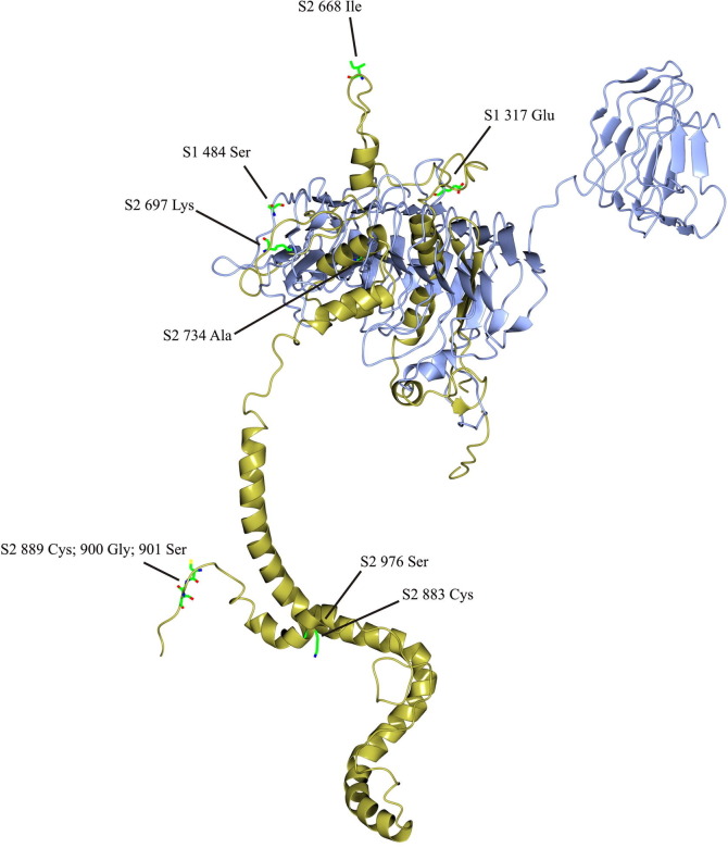 Fig. 6