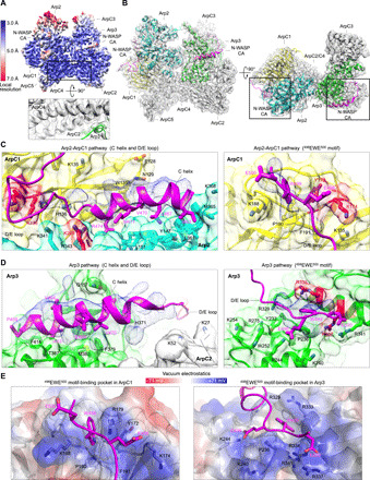 Fig. 3