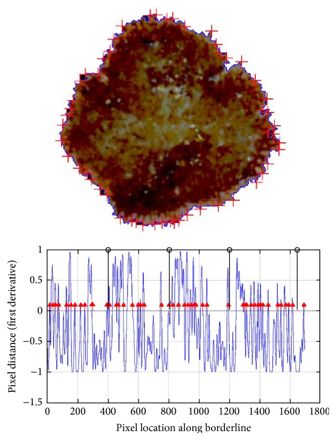 Figure 12