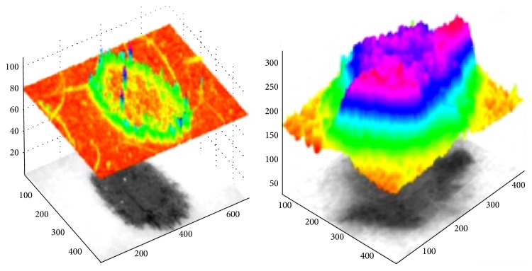 Figure 5