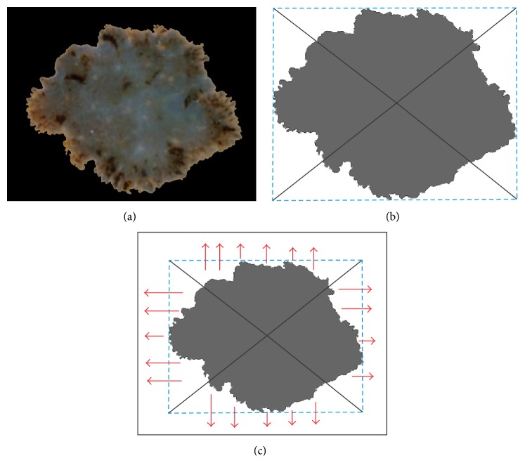 Figure 9