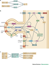 Display 1: Figure 1