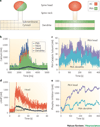 Display 4: Figure 4