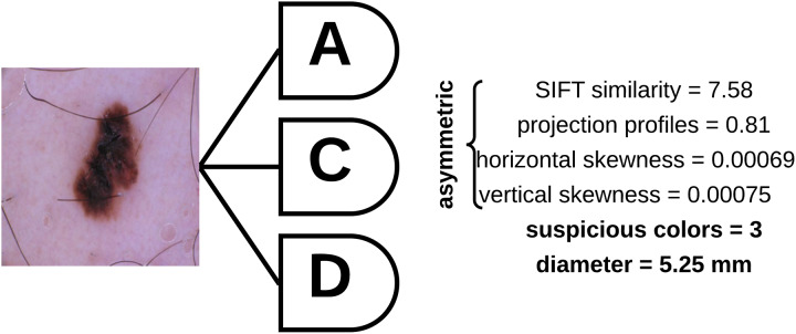 Fig 9