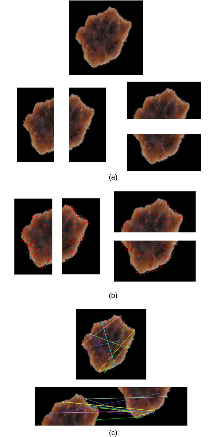 Fig 3