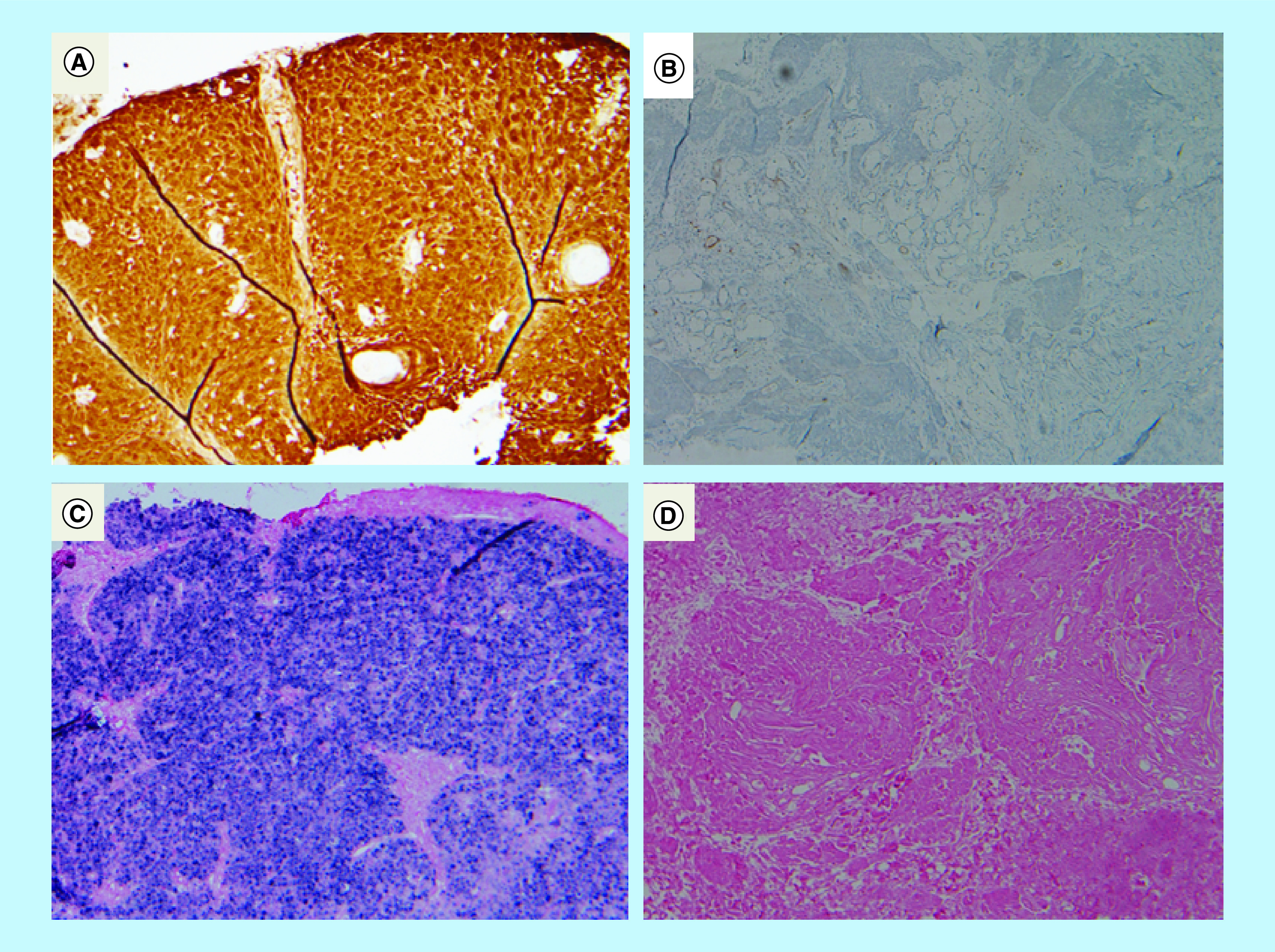 Figure 2. 