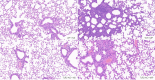 Figure 7