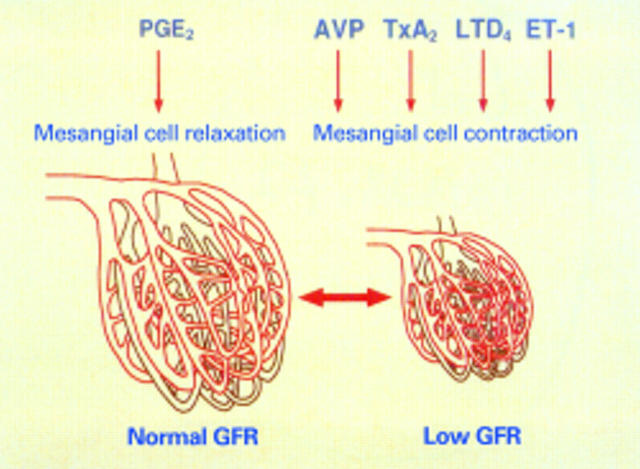 Figure 2  