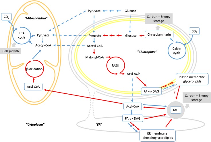 Figure 7.