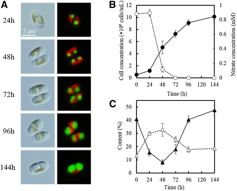 Figure 3.