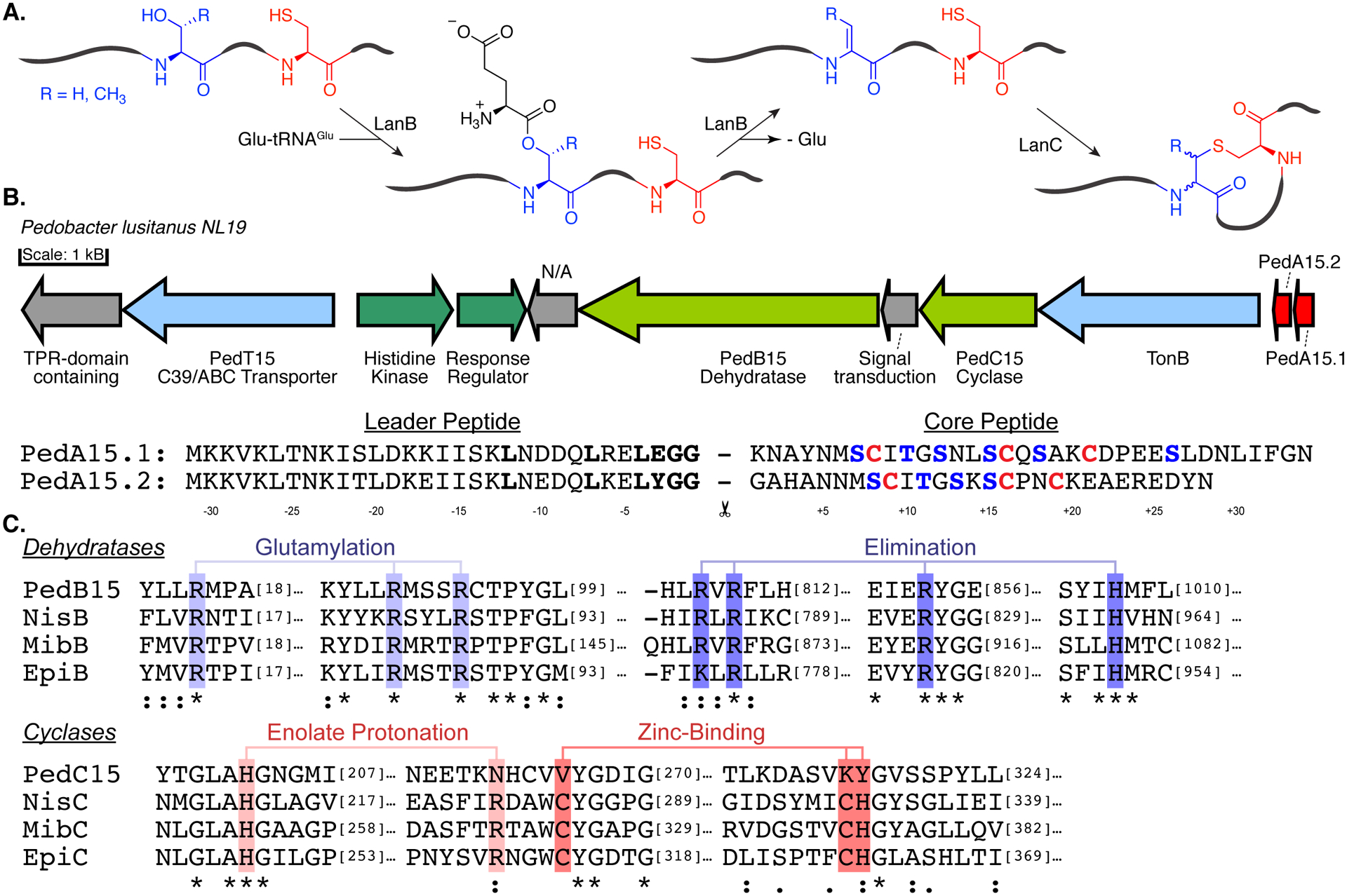 Figure 1: