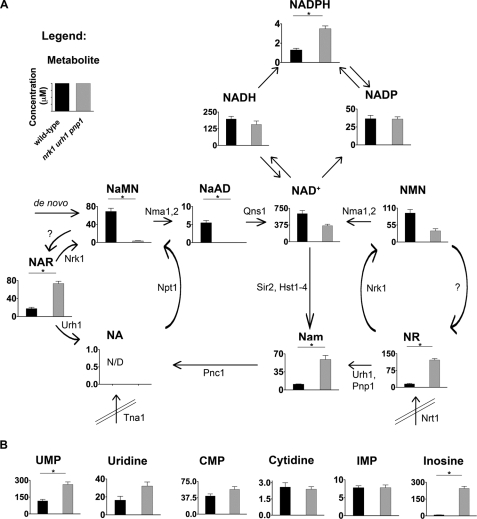 FIGURE 2.